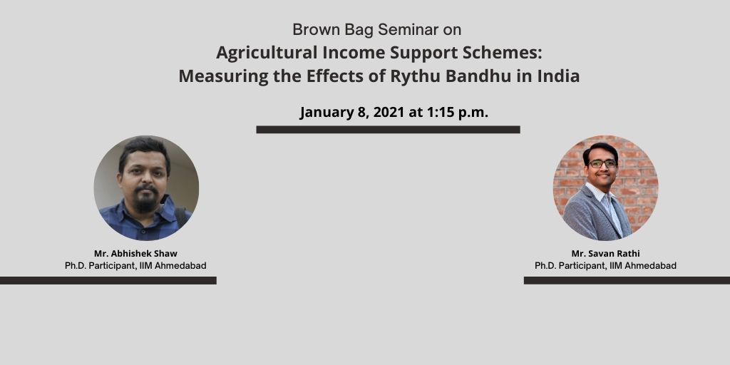 Agricultural income support schemes: Measuring the effects of Rythu Banthu in India